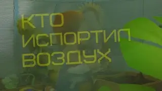 Муд барбоскины 3