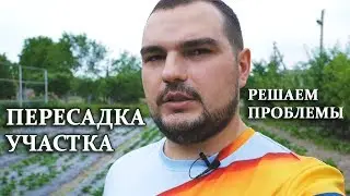 МЕНЯЕМ ЧАСТОТУ ПЕРЕСАДКИ/СНИЖАЕМ НАГРУЗКУ/УЛУЧШАЕМ ПОКАЗАТЕЛИ