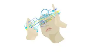 36- L'imagination