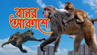Monkey in SKY || বানর আকাশে