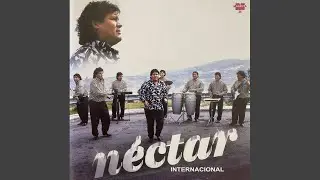 Muchachita