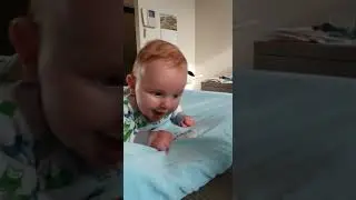 Baby Max (Lebbeke)