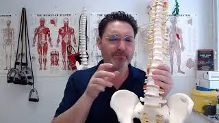 Low Back Pain Causes, Symptoms, Diagnosis, Treatments