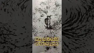 Experiment to show the pattern of #magnetic field lines of #Bar #Magnet    #youtubeshorts