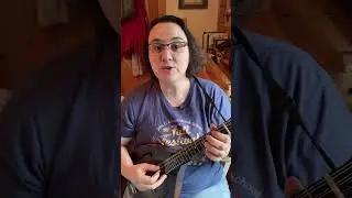 Beginner Mandolin Lesson D Scale