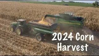 Corn Harvest has Begun | Scottish Highland Calf Born