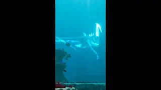 #subnautica The Silence
