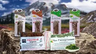 Данила_Травник