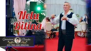 VALI & VERGI ❌ SARBE DE JOC ✅ NELU BITINA ✘ COLAJE ✘ NOU  ✅  MUZICA DE VOIE BUNA