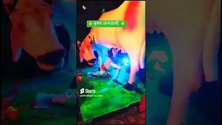 कृष्ण जन्माष्टमी स्पेशल झांकी 🚩🙏 #krishnajanmashtami2024 #krishnajanmashtami #कृष्ण #shorts #कान्हा