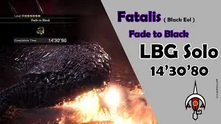 MHWIB | LBG Solo | Fatalis | 14'30