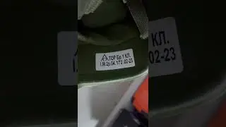 28 августа 2024 г.