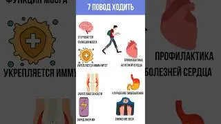 Для чего полезно ходить пешком?