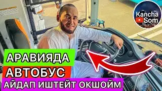 4 БОЛУК АРАВИЯДА АВТОБУС АЙДАП ИШТЕП КЕТСЕМБИ
