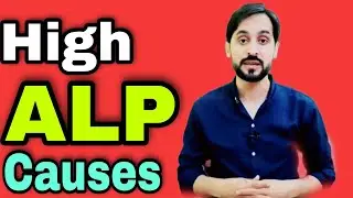 Causes of High Alkaline Phosphatase in Blood