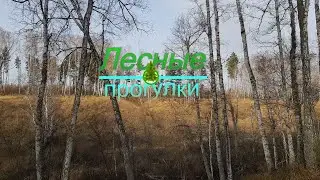 Спасение мотоцикла