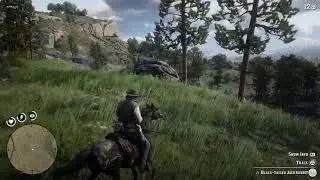 Instant Karma (RDR2)