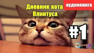 Записки кота Плинтуса 1 из 5