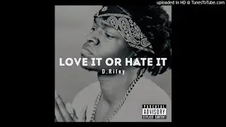 D. Riley - Love It or Hate It