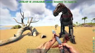 Ark: Survival Evolved-Ep 2-Offline protection server-A new friend, new gear and unexpected trouble