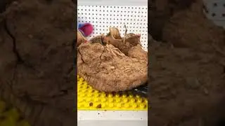 Amazing innovation never seen before