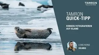 Robben fotografieren auf Island – TAMRON Quick Tipp