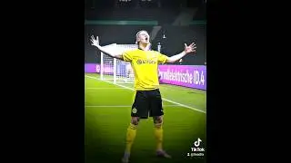 HAALAND CELEBRATION STUNNED THE WORLD!! #erlinghaaland #haaland #football #aftereffects #edit #fyp