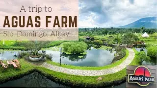 Aguas Farm, Sto. Domingo, Albay