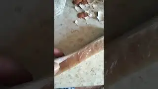 шпик соленый домашний 