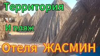 Египет март 2024 Aladdin Территория и пляж отеля Жасмин