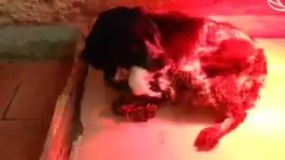 La vita è una cosa meravigliosa