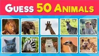 Guess 50 Animal in 3 second | Easy, Hard, and Impossible Levels