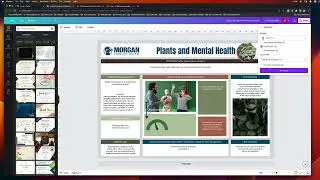 Canva STEM Research Poster - Export Final PDF