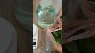 Николо урюпинская настойка #shorts