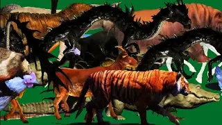 Green Animals Stampede Running and Walking Green Screen Blue Screen HD Animals Video