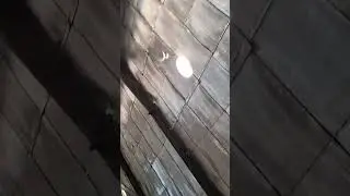 xlp sheet one aluminium foil roof insulation work