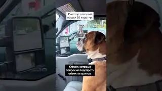 Когда работа проделана, а результата нет, каково это? #shorts #юмор #недвижимость