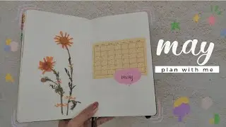 ✿ may 2020 plan with me // bullet journal setup // monthly spread 📝  a not so *･ﾟrealtime･ﾟ*
