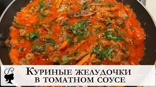Куриные желудочки в томатном соусе. Рецепт приготовления вкусного блюда из куриных желудочков.