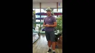Sea Gods Standup Paddleboards Live Stream