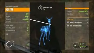 Как начать играть по сити в игру The Hunter Call of the Wild