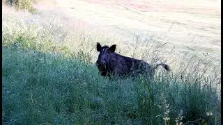 Starí známi-počkal som si na neho.