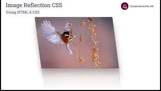 Image Reflection in CSS Realistic Using HTML & CSS