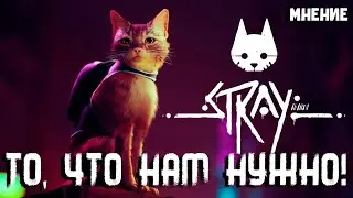 МНЕНИЕ о STRAY - то что нам нужно! (без спойлеров)