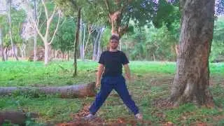Café Matinal (Yoga Para Iniciantes)