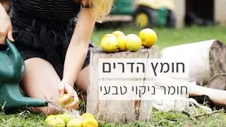 מדריך להכנת חומר ניקוי רב תכליתי ללא רעלים וללא כימיכלים, לניקוי של כל הבית.