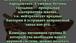 ЦЕЛЕБНЫЕ СВОЙСТВА  ГВОЗДИКИ
