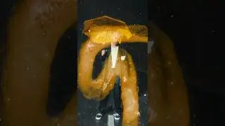 ДжаЯмми «ЖЁЛТЫЕ ТЮЛЬПАНЫ» 09.08 🔥