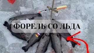 Ловля Форели со льда/Съемки подводной камерой/Рыбалка в Юрлово