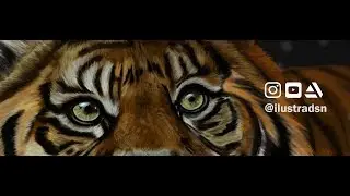 ILLUSTRATION PORTFOLIO PRESENTATION